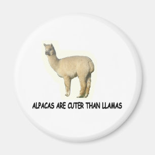 Imán Las alpacas son más lindas que llamas