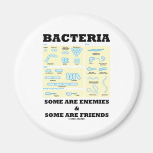 Imán Las bacterias algunos son enemigos y algunos son