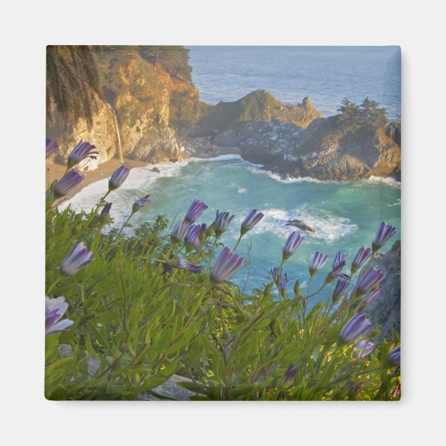 Imán Las cataratas escénicas de McWay caen en la playa  (Frente)