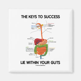 Imán Las Claves Para El Éxito Se Encuentran Dentro De L