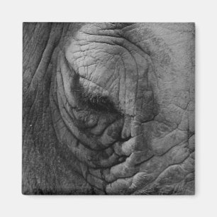 Imán Las cosas que he visto el Rinoceronte blanco.