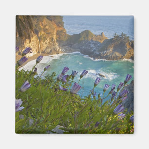 Imán Las escénicas cataratas McWay caen en la playa y