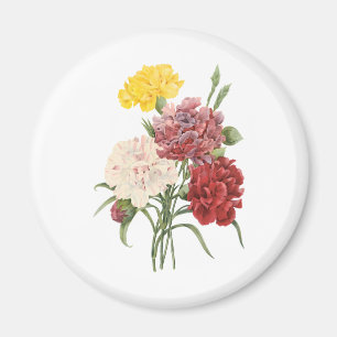 Imán Las flores de los jardines de Dianthus Redoute