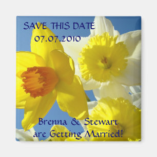 Imán Las flores del narciso de la primavera ahorran
