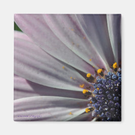 Imán Las flores en el interior