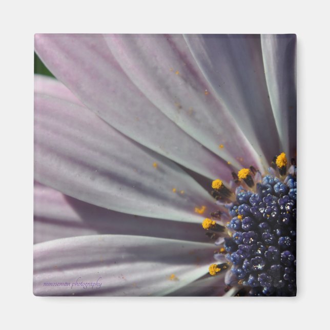 Imán Las flores en el interior (Frente)