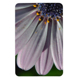 Imán Las flores en el interior