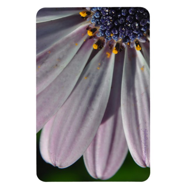 Imán Las flores en el interior (Vertical)