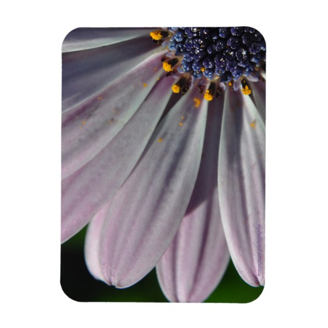 Imán Las flores en el interior (Vertical)