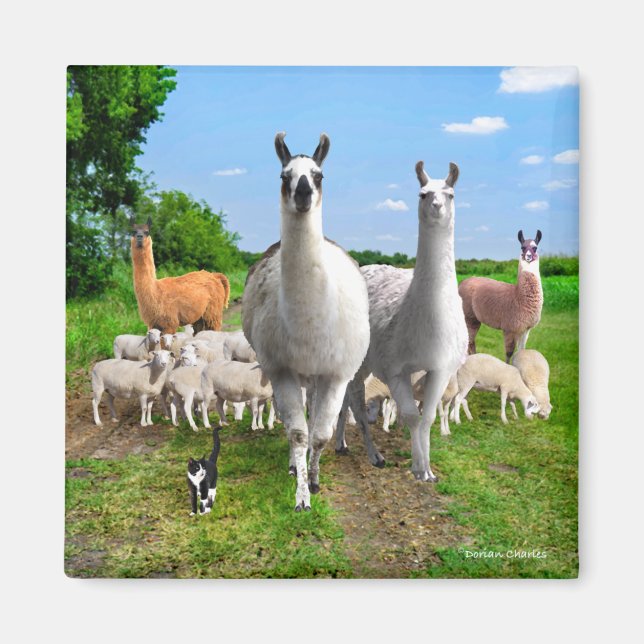Imán "Las Llamas de la Guardia" (Frente)
