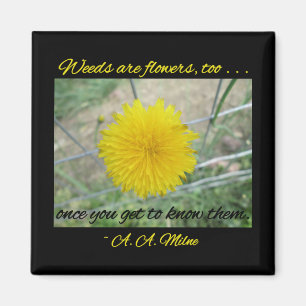 Imán - Las Malezas Son Flores