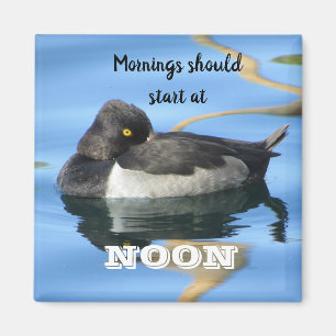 Imán Las mañanas Deberían Empezar A Mediodía Sleepy Pat