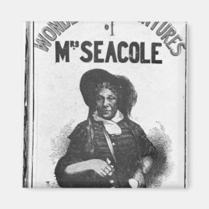 Imán Las maravillosas aventuras de la señora Seacole