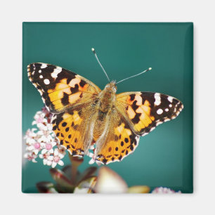 Imán Las mariposas son gratis