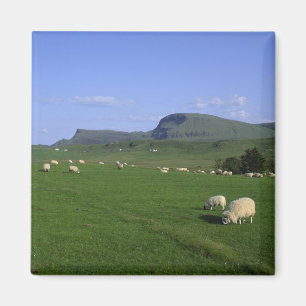 Imán Las Montañas Quiraing, Isla de Skye, Tierras Altas