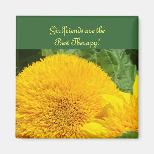 Imán ¡Las novias son la mejor terapia!