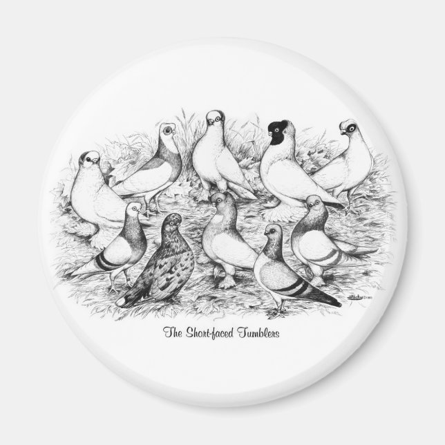 Imán Las palomas de Tumbler de cara corta (Frente)