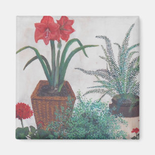 Imán Las plantas de la abuela