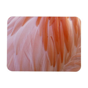 Imán Las plumas flamencas en tonos rosas