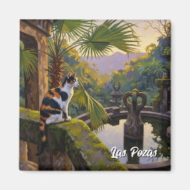 Imán Las Pozas México Viaje