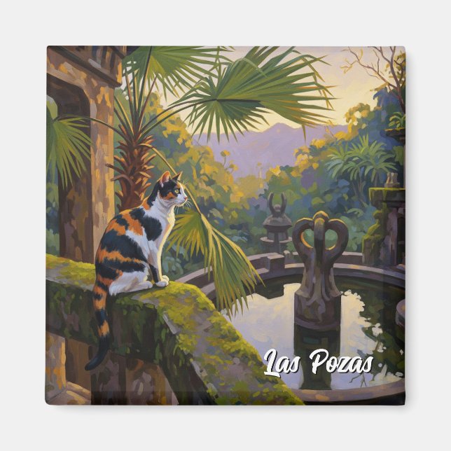 Imán Las Pozas México Viaje (Frente)