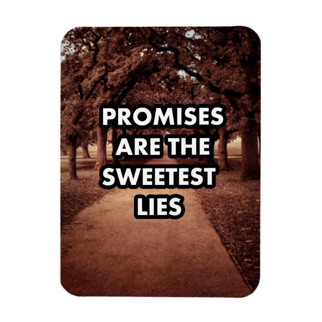 Imán Las promesas son las mentiras más dulces (Vertical)