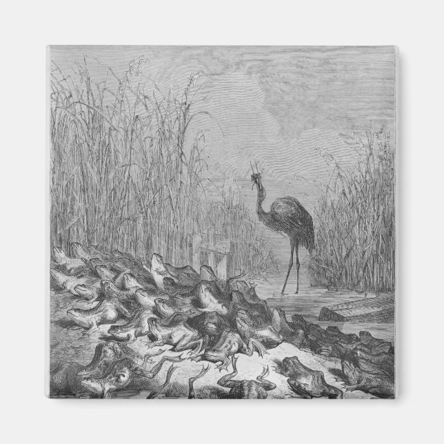 Imán Las ranas pidiendo un rey, (Frente)