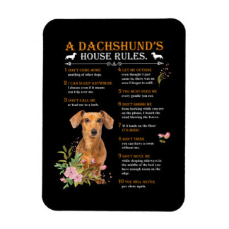 Imán Las reglas de la casa de un Dachshund