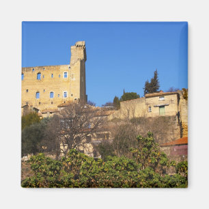 Imán Las ruinas del castillo de verano del Papa en