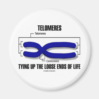 Imán Las Telomeres Encajonando Los Sucios Fines De La V