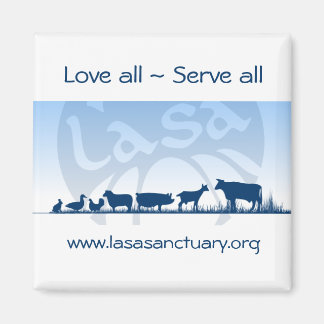 Imán Lasa Magnet
