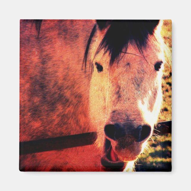 Imán Laugh (Frente)