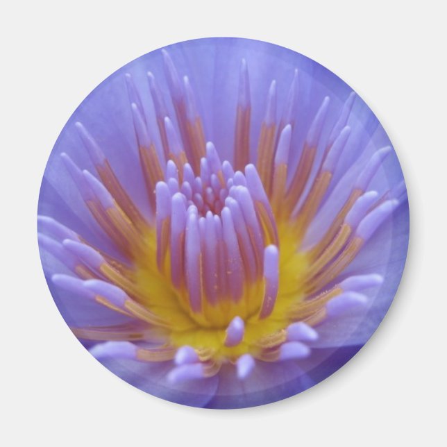 Imán Laura Frase (Frente)