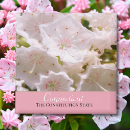 Imán Laurel de Montaña Flor del Estado de Connecticut