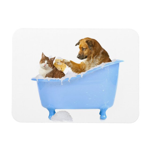 Imán Lavado de gato (Horizontal)