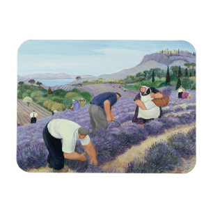 Imán Lavanda