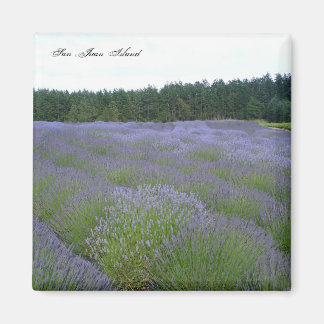 Imán Lavanda
