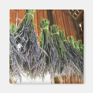 Imán Lavanda colgando en un granero