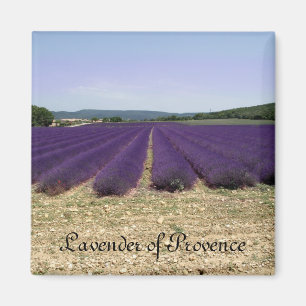 Imán Lavanda de Provence