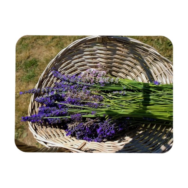 Imán Lavanda en una canasta (Horizontal)