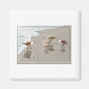 Imán Lavanderas en la línea de la playa