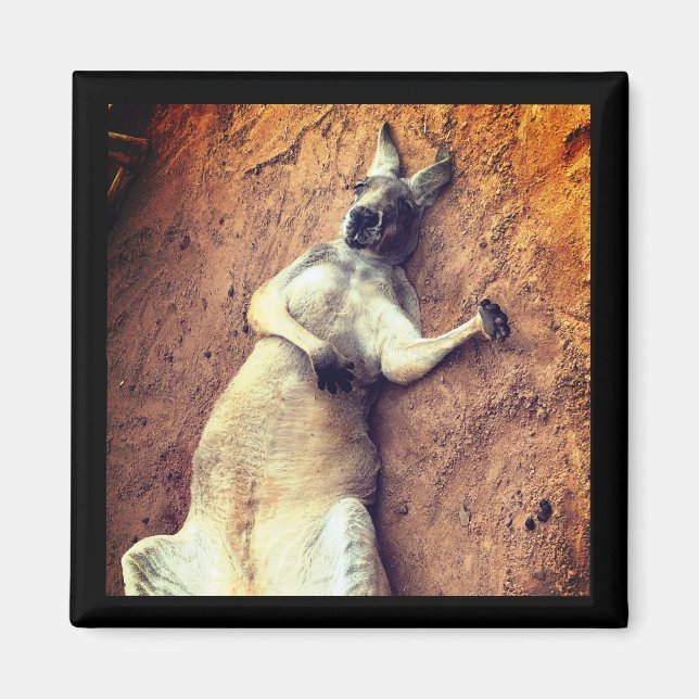 Imán Lazy Days Kangaroo Magnet (Frente)