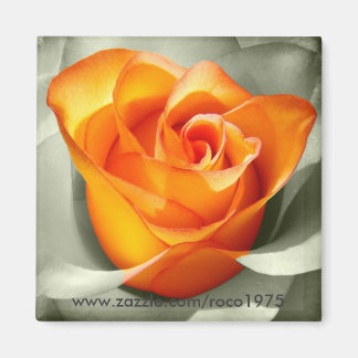 Imán Le coeur d'une rosa