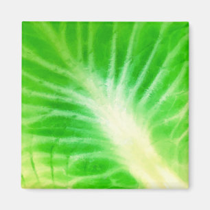 Imán Leaf de col
