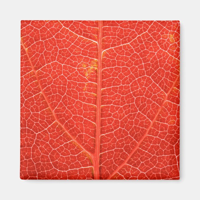 Imán Leaf otoñal (Frente)