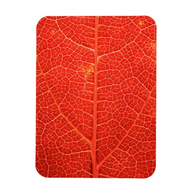 Imán Leaf otoñal (Vertical)