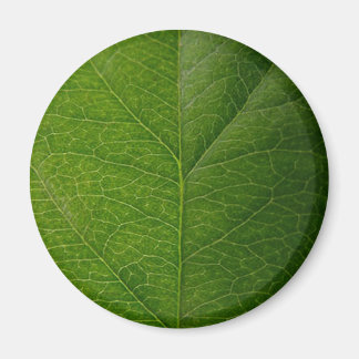 Imán Leaf verde
