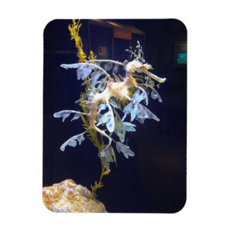 Imán Leafy Dragon Magnet