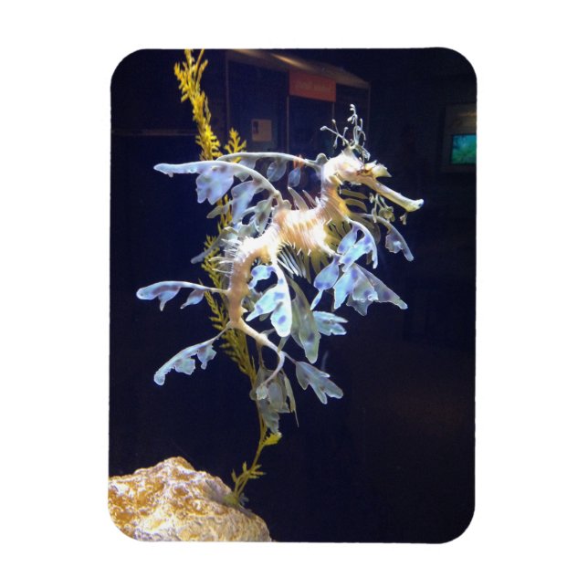 Imán Leafy Dragon Magnet (Vertical)