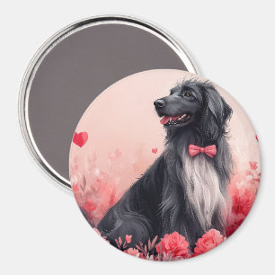 Imán Lebrel afgano con rosas - Día de San Valentín